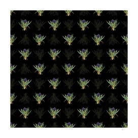 Vintage Pygmy Iris Botanical Pattern on Black