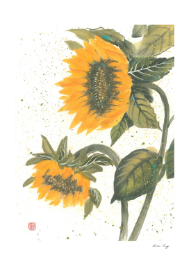 Sunflowers with white lines