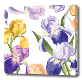 Iris Blossom Fantasy