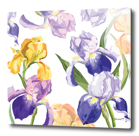 Iris Blossom Fantasy
