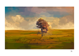 Lonely Tree on The Meadow