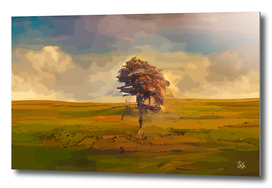 Lonely Tree on The Meadow