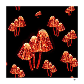mushrooms, red, burning, toadstools, fly agarics,