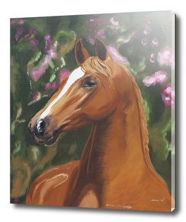 Wonderful horse portrait