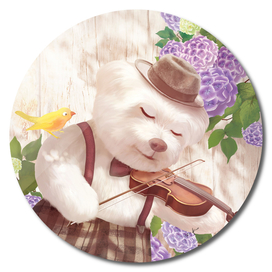 Smile Dog Playing Violin