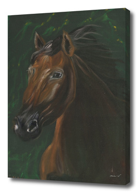 Brown horse on green velvet
