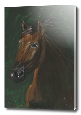 Brown horse on green velvet