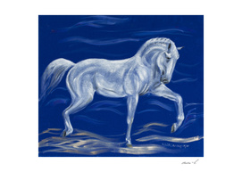 White horse on blue velvet