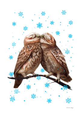 Winter owls