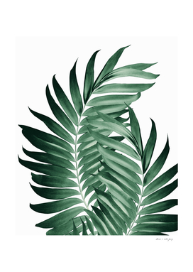 Palm Leaves Tropical Green Vibes #5 #tropical #decor #art