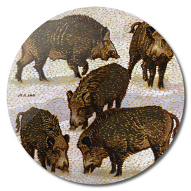 Five Wild Boars