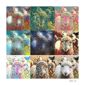 Sheep With Filters Collage