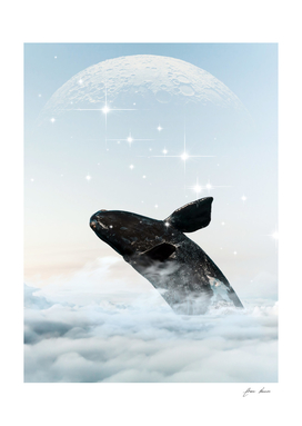 whale in the sky