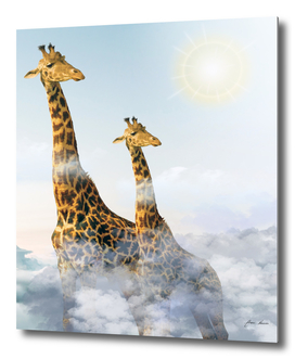 giraffe in the sky