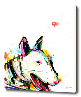 bull terrier colorful