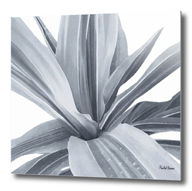 Tropical cactus leaves, grey, white