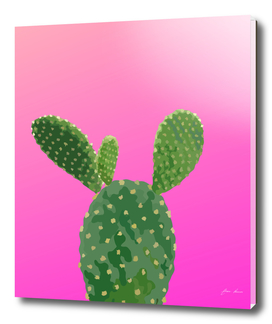 cactus summer