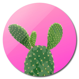 cactus summer