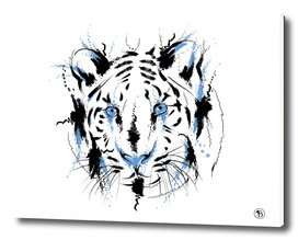 Tiger White