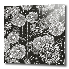 Asters rain in black and white