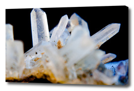 Winter Crystals