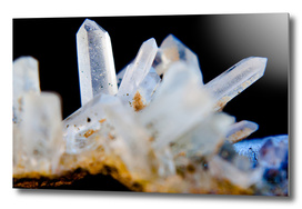 Winter Crystals