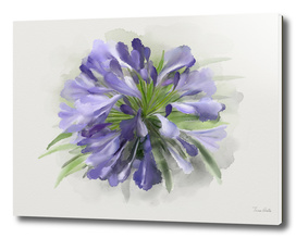 Blue Flower,  Watercolor