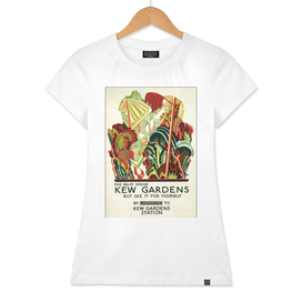 Kew Gardens - UK