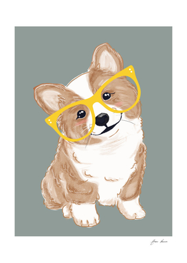 Corgi with yellow glasses