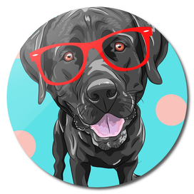 labrador with red glasses