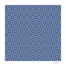 Chambray Two Color Hex | Beautiful Interior Design