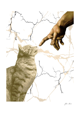 The Creation of Adam and Cat