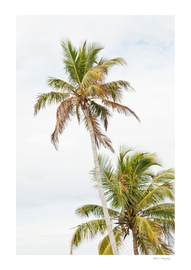 Floridian Palms #1 #tropical #wall #art