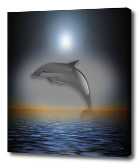 Dolphin Moon