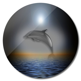 Dolphin Moon