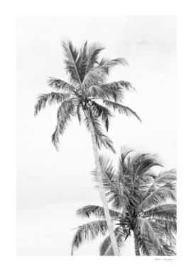 Floridian Palms Black & White #1 #tropical #wall #art