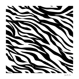 Black Zebra | Beautiful Interior Design