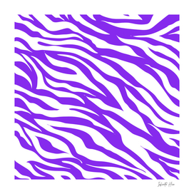 Neon Purple Zebra | Beautiful Interior Design