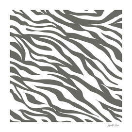 Siam Zebra | Beautiful Interior Design