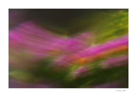 An abstract colorful blurry background