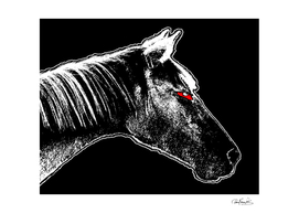 Angry Horse Dark Illustration