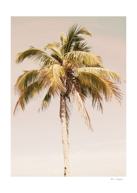 Palm Tree Beach Dream #2 #wall #art
