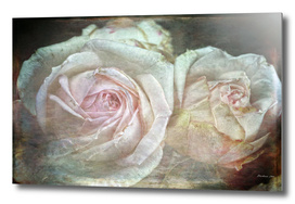 Shabby and Vintage English Roses