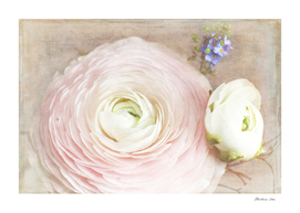Vintage and Romantic Spring Flowers