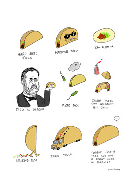 A misguided guide to tacos