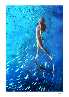 Free Diver and the Fish Shoal
