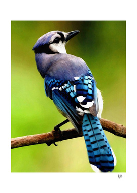 HYPER-REALISTICALIA C1N6 - BLUE JAY BIRD SITTING ON A BRANCH