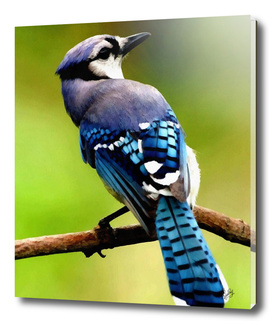 HYPER-REALISTICALIA C1N6 - BLUE JAY BIRD SITTING ON A BRANCH