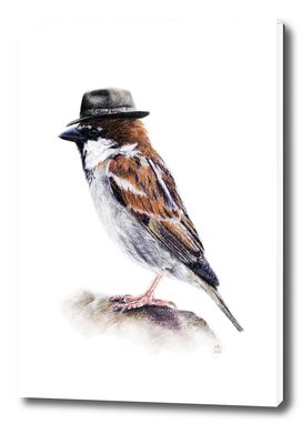 Mr. I. Sparrow