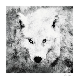 The Tenderness Of Wolves // Moonchild Edit